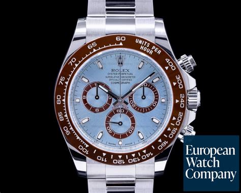 rolex daytona brown blue|rolex daytona value chart.